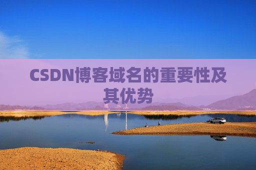 CSDN博客域名的重要性及其优势